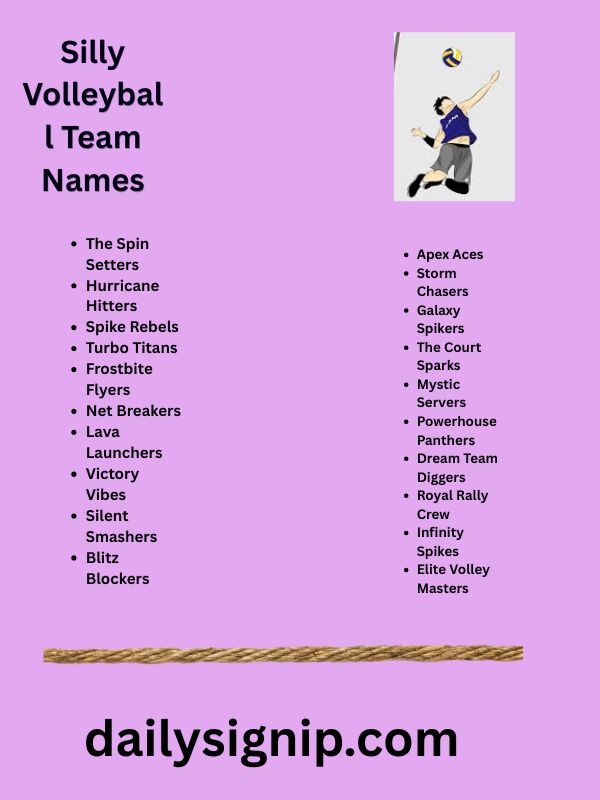 Silly Volleyball Team Names