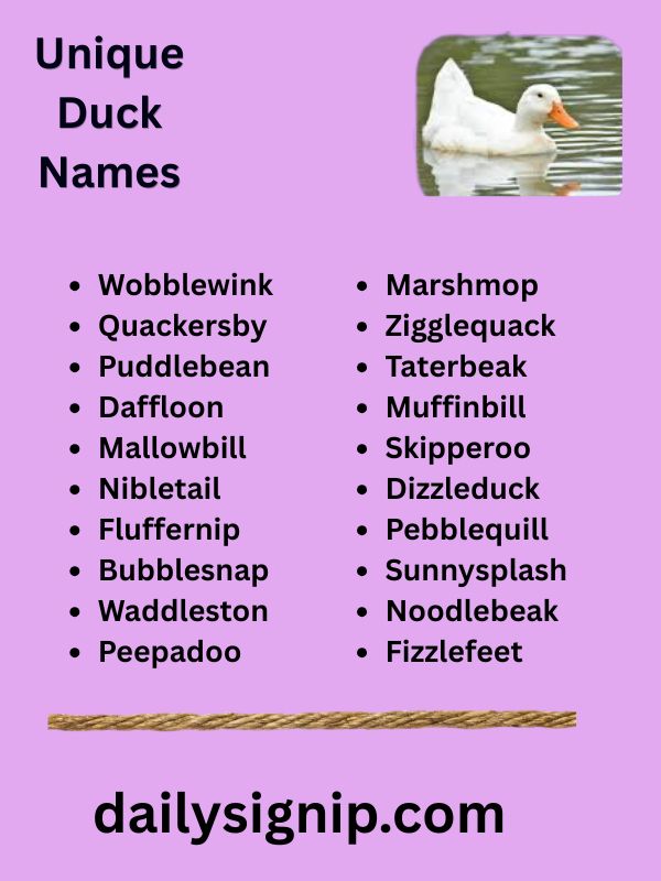 Unique Duck Names