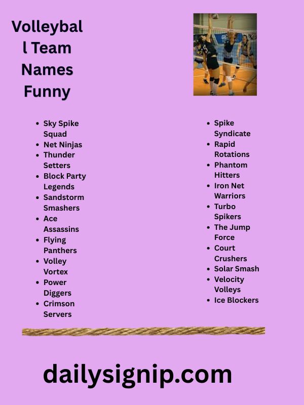 Volleyball Team Names Funny