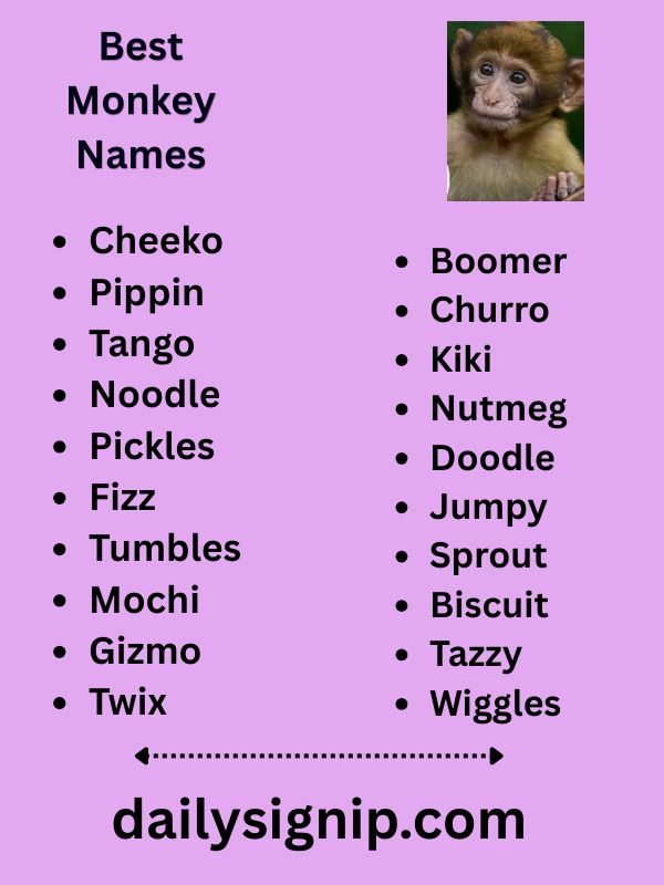 Best Monkey Names