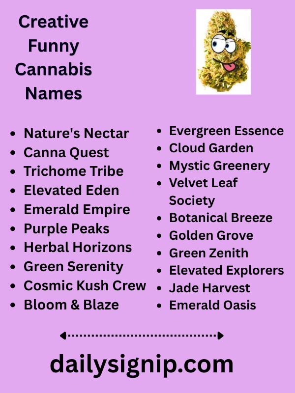 Creative Funny Cannabis Names