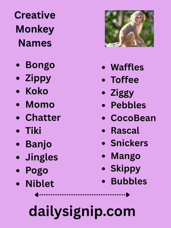 Creative Monkey Names