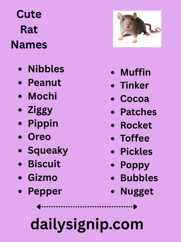 Cute Rat Names