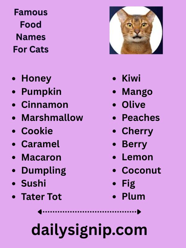 Famous Food Names For Cats