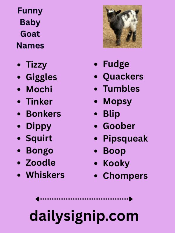 Funny Baby Goat Names