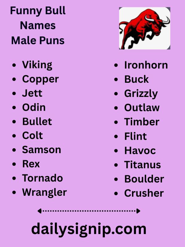 Funny Bull Names Male Puns