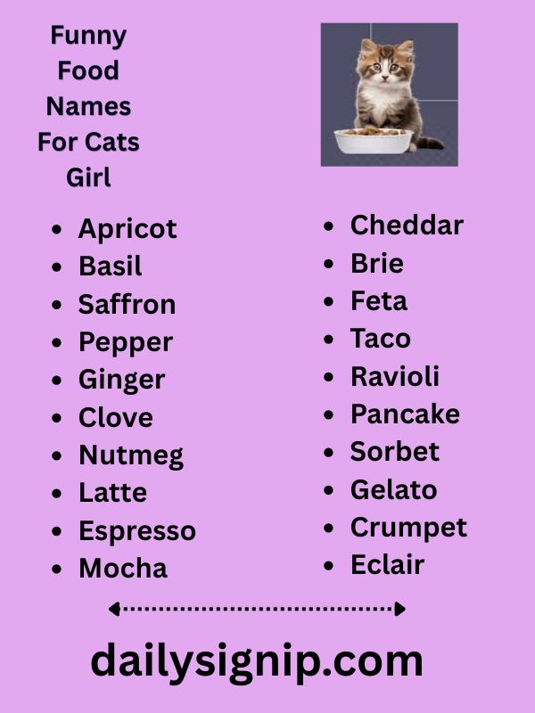 Funny Food Names For Cats Girl