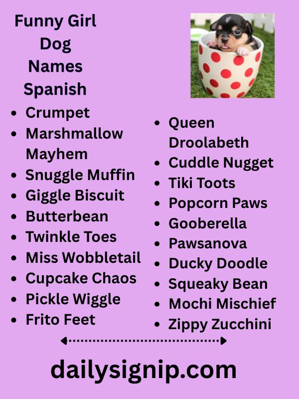 Funny Girl Dog Names Spanish