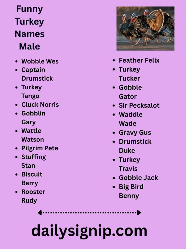 Funny Turkey Names Male