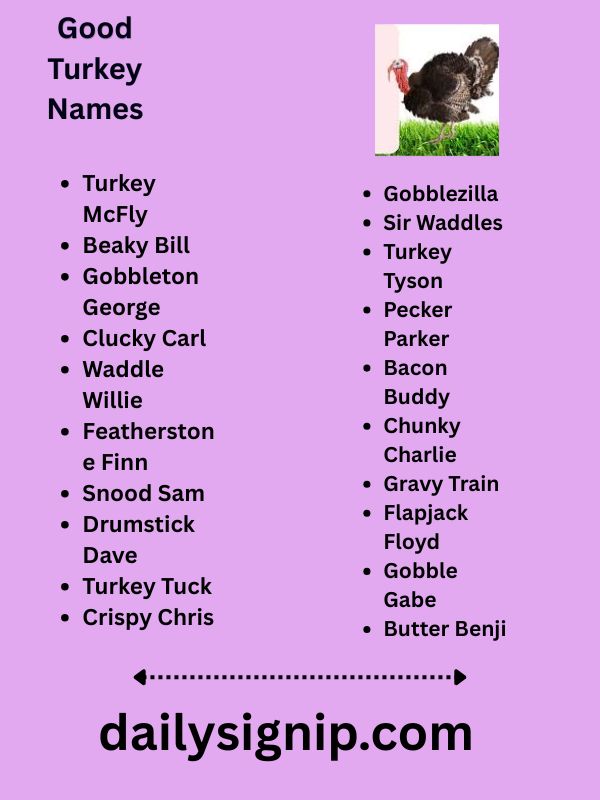 Good Turkey Names