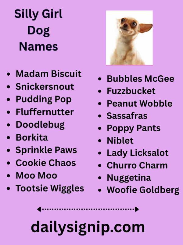 Silly Girl Dog Names