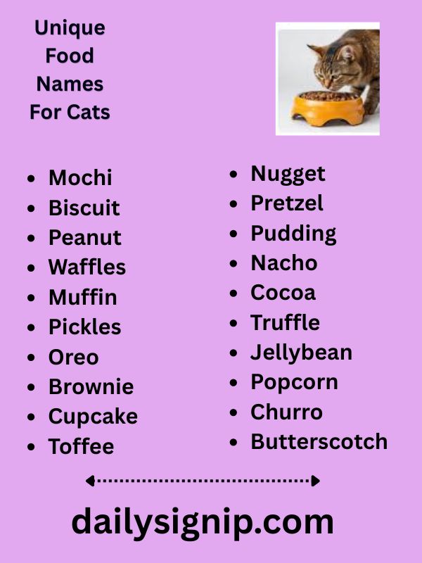 Unique Food Names For Cats