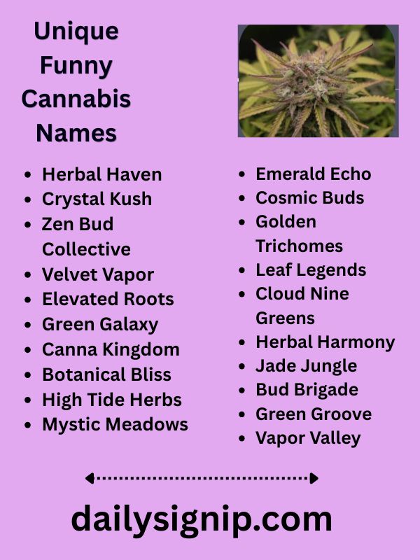 Unique Funny Cannabis Names